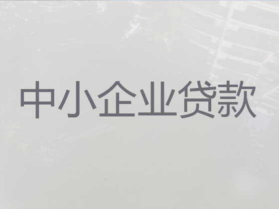 百色中小企业信用贷款